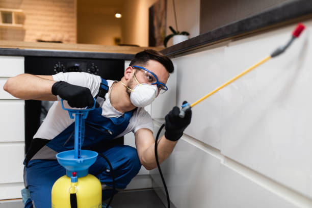 Best Best Pest Control Companies  in Sackets Harbor, NY