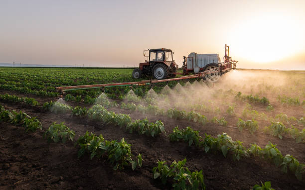 Best Mosquito Control Services  in Sackets Harbor, NY