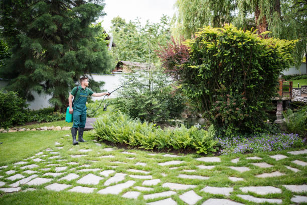 Trusted Sackets Harbor, NY Pest Control Experts
