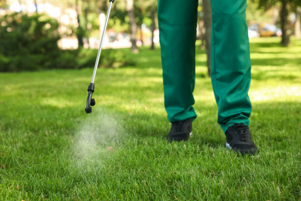 Best Best Pest Control Companies  in Sackets Harbor, NY