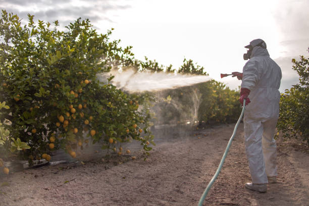 Flea Control Services in Sackets Harbor, NY