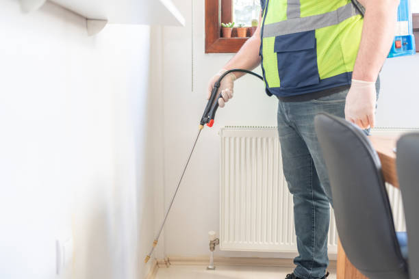 Best Affordable Pest Control Services  in Sackets Harbor, NY
