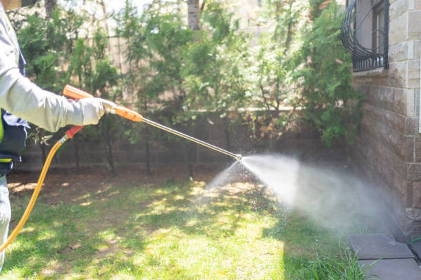 Best Bird Control  in Sackets Harbor, NY