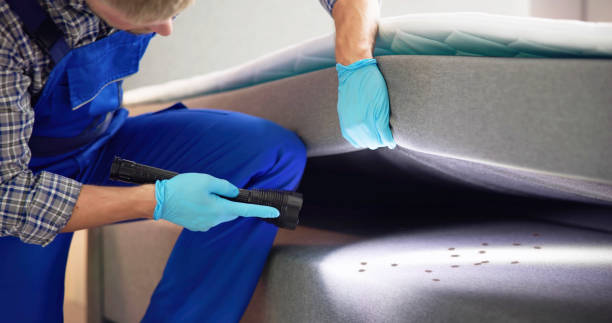 Best Best Pest Control Companies  in Sackets Harbor, NY