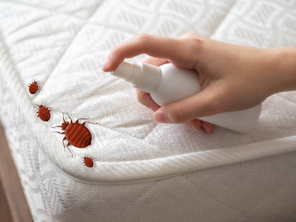 Best Pest Prevention Services  in Sackets Harbor, NY