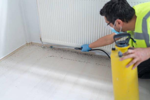 Best Commercial Pest Control Services  in Sackets Harbor, NY